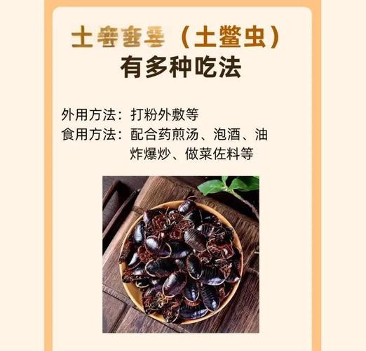 土元哪个品种口感最佳?-图2 土元哪个品种口感最佳?-图2