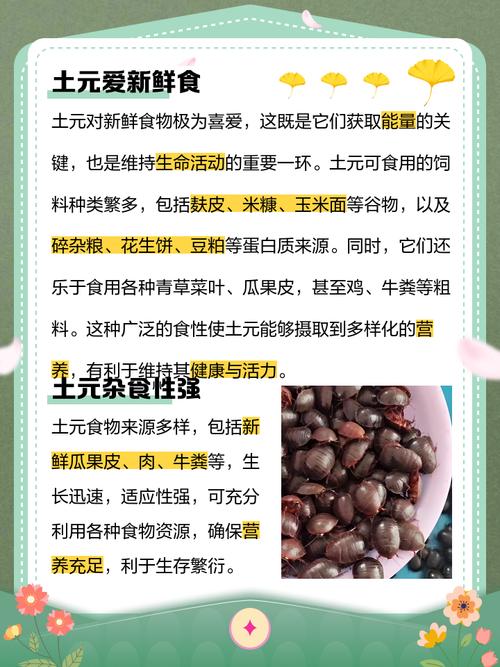 土元哪个品种口感最佳?-图3 土元哪个品种口感最佳?-图3