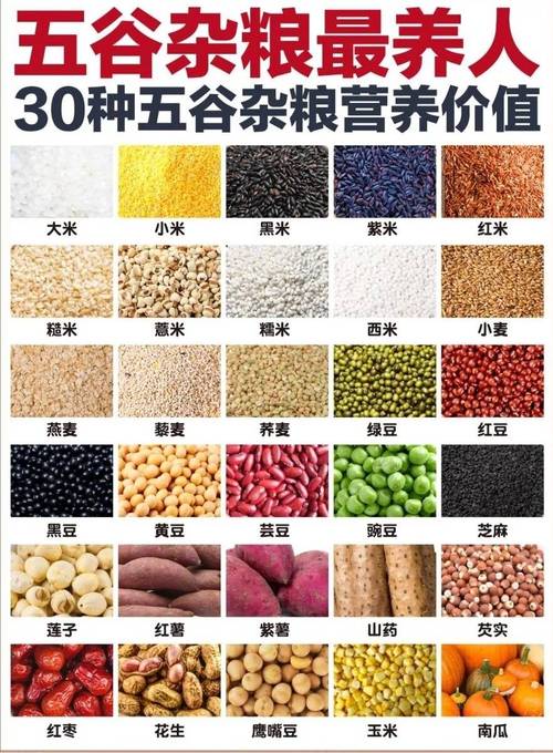 新型粮食品种有哪些独特特点?-图2 新型粮食品种有哪些独特特点?-图2