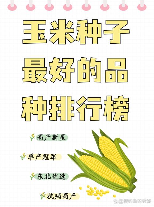 新型粮食品种有哪些独特特点?-图3 新型粮食品种有哪些独特特点?-图3