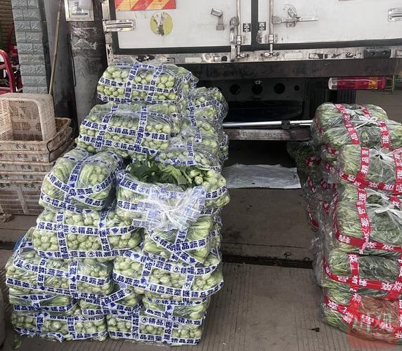 大连蔬菜今日批发价格咋样?-图2 大连蔬菜今日批发价格咋样?-图2