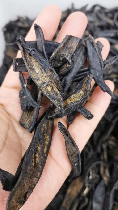 安徽亳州水蛭收购价现在多少？-图1