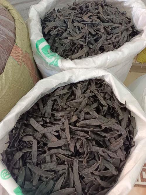 安徽亳州水蛭收购价现在多少？-图2