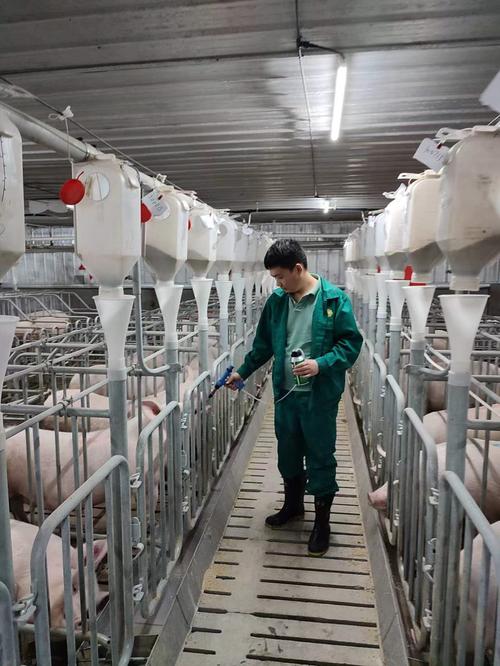 养猪技术视频哪里学？农广天地有妙招！-图3