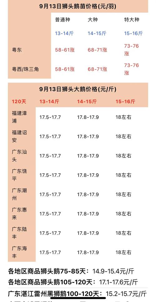 山东祥伟鹅业鹅苗价格多少钱一只？-图2