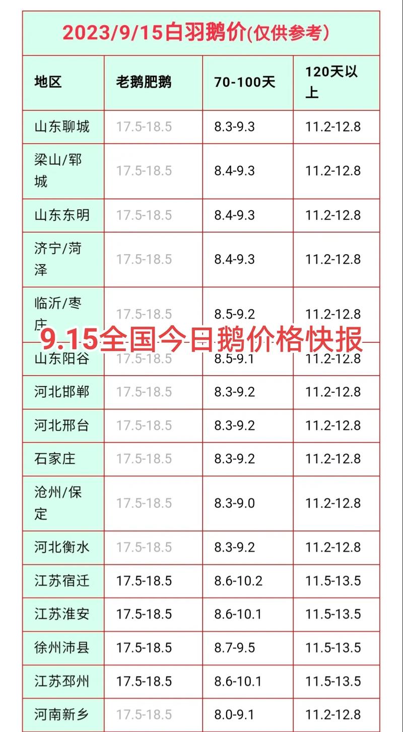 山东祥伟鹅业鹅苗价格多少钱一只？-图3