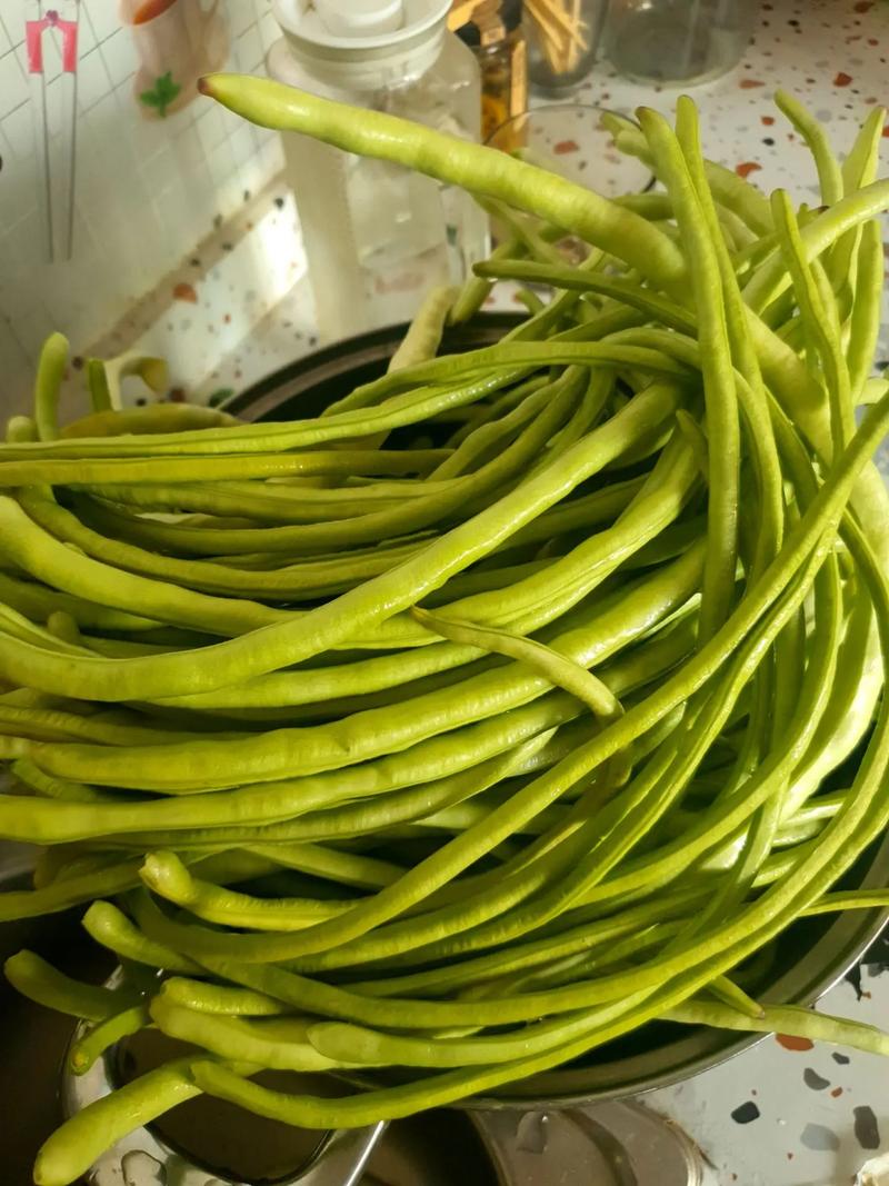 晾晒选哪种豆角品种好？-图3