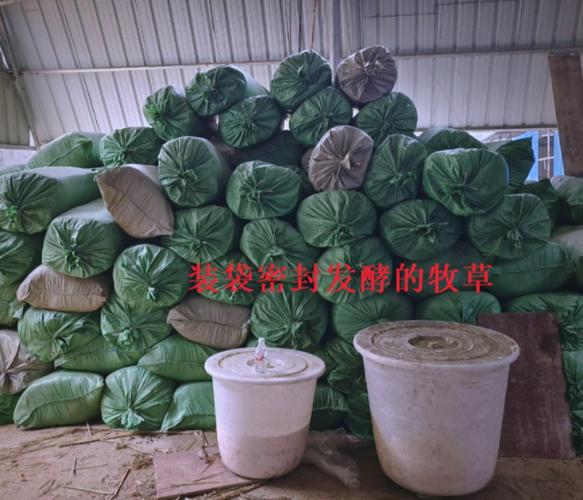 生物发酵秸秆饲料技术如何提升饲料价值？-图1