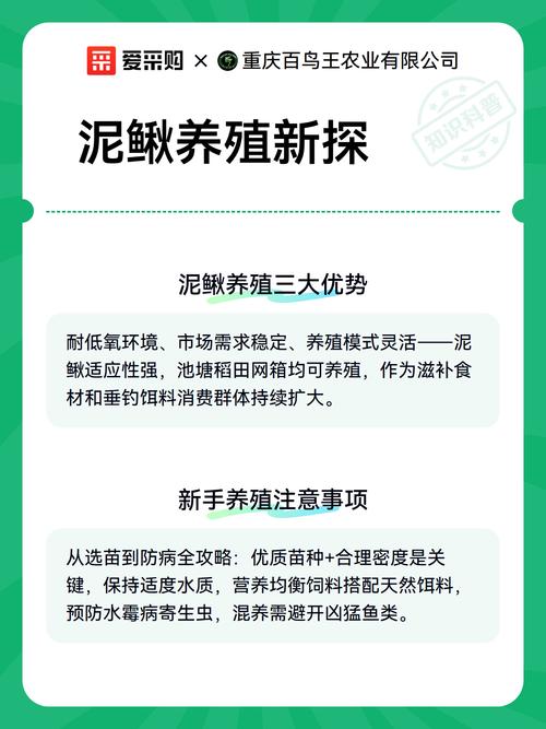 泥鳅网箱养殖技术视频要点有哪些？-图3