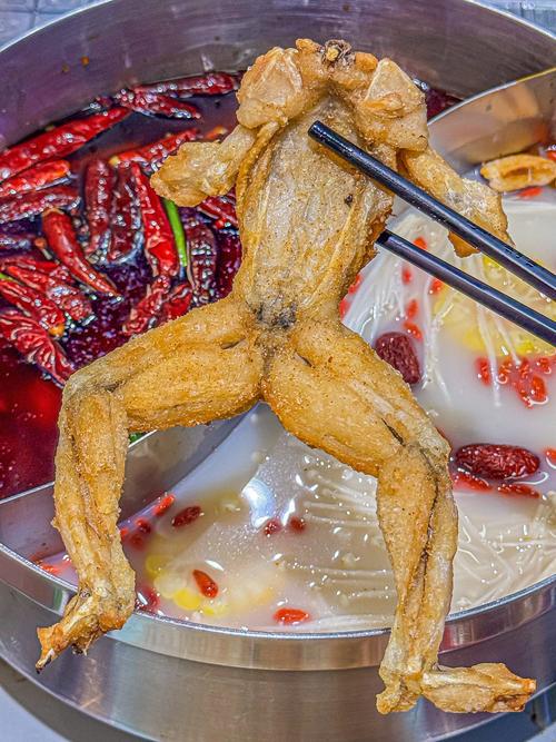 今日广州牛蛙批发价格-图1