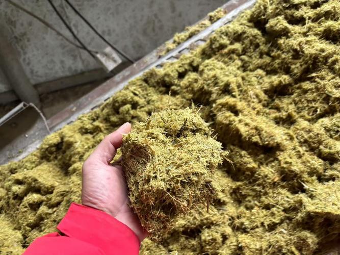 秸秆发酵技术视频如何高效应用？-图1