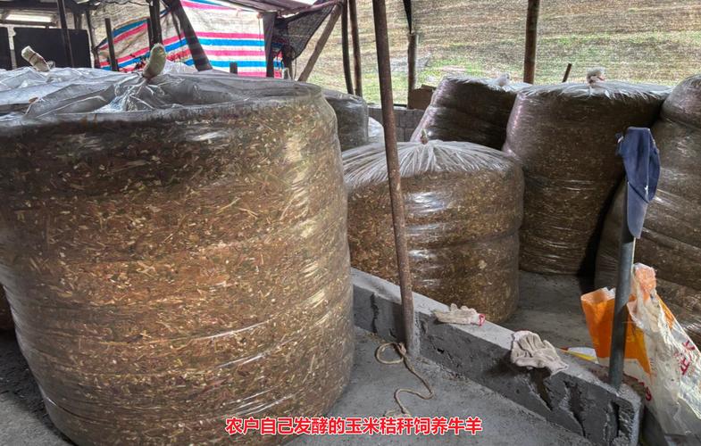 秸秆发酵技术视频如何高效应用？-图3