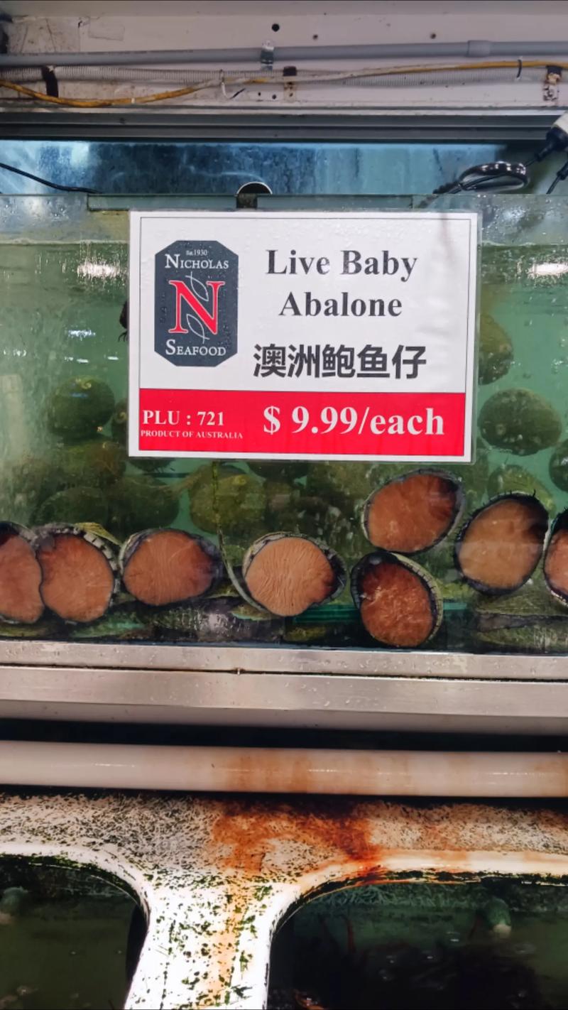 澳大利亚当地龙虾价格多少？-图2