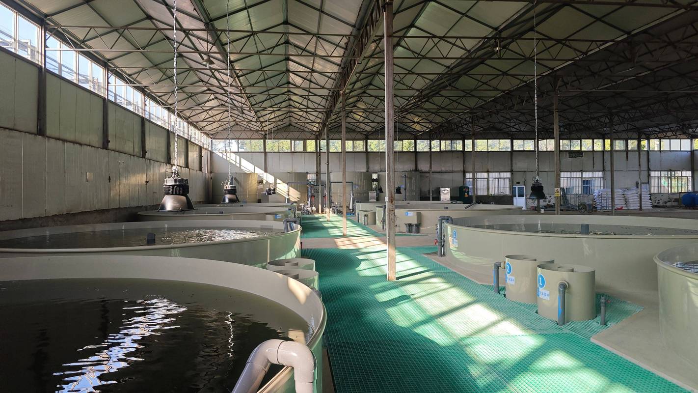 工厂化淡水养殖品种有哪些？-图2