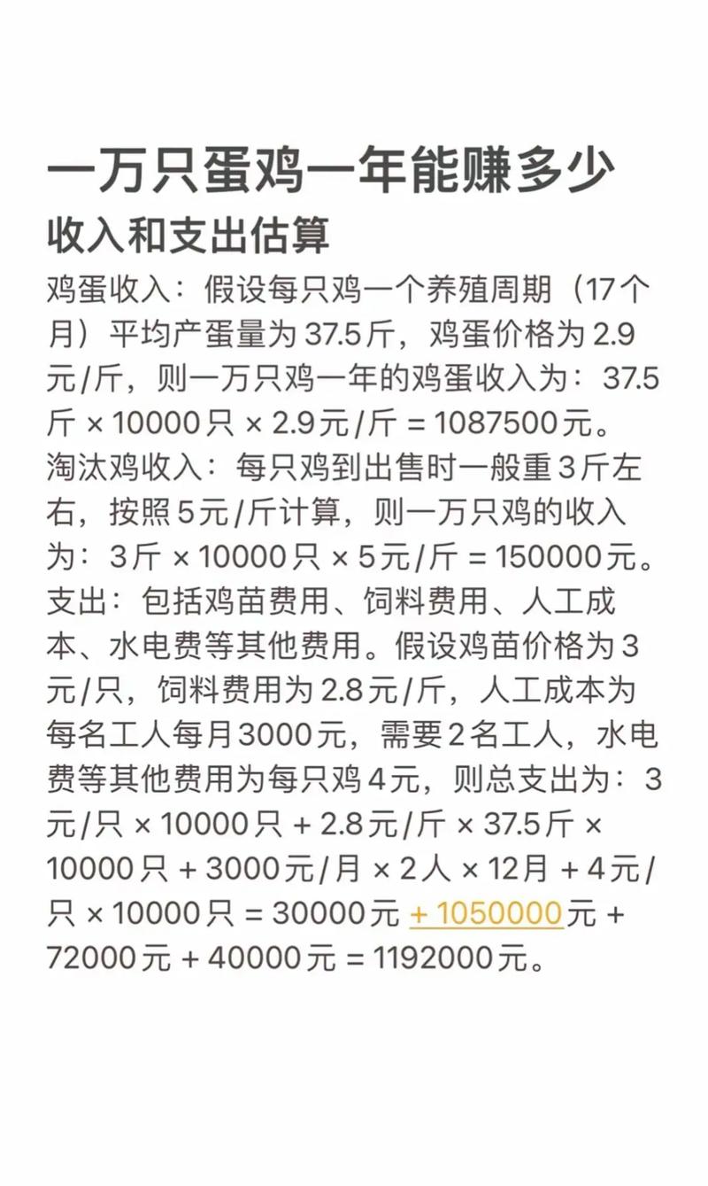 蛋雏鸡价格现在多少钱？-图1