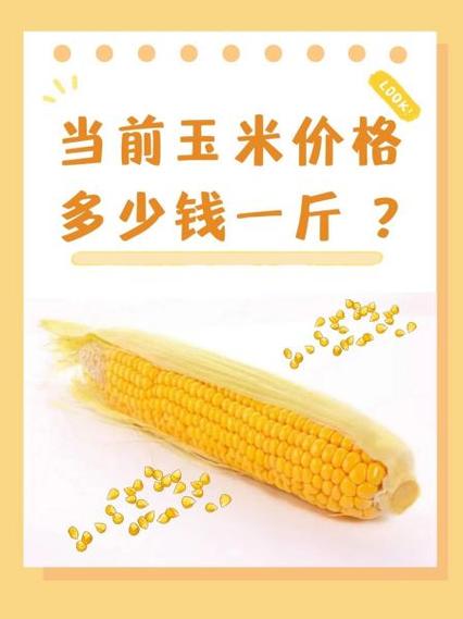 通辽今日玉米价格多少钱一斤？-图3