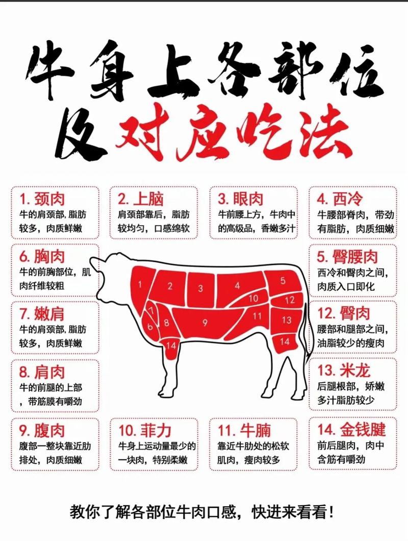 如何高效养殖出高品质雪花牛肉？-图2