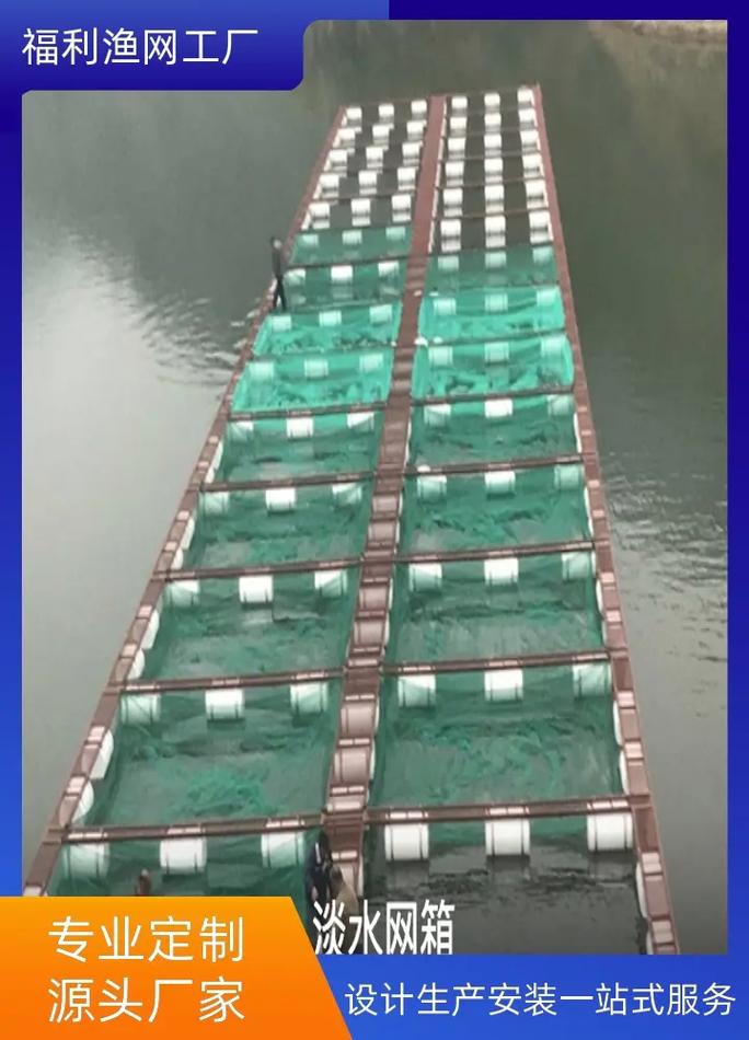 罗非鱼网箱养殖技术有哪些要点？-图2