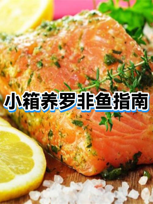 罗非鱼网箱养殖技术有哪些要点？-图1