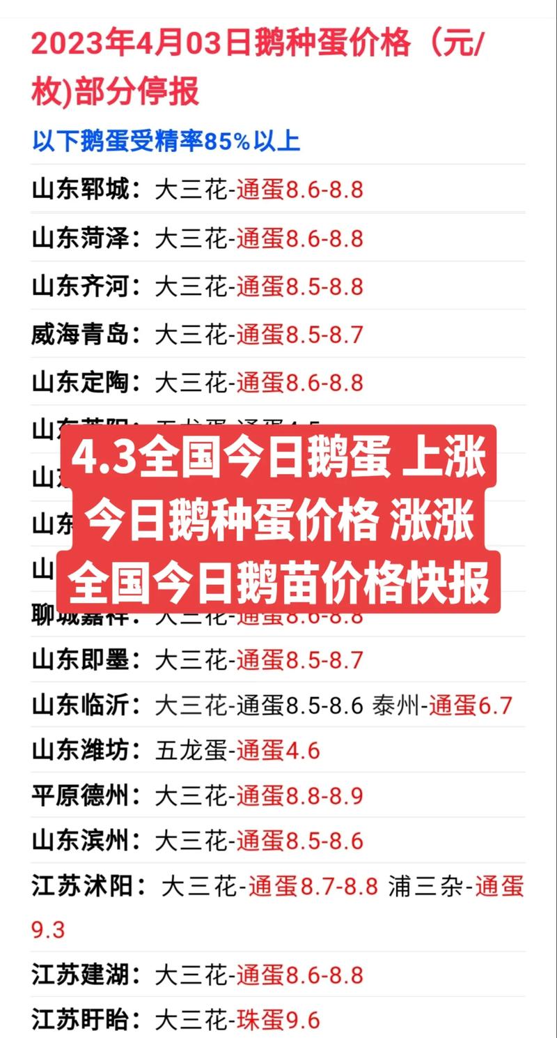 杂交鹅上市价格是多少-图1