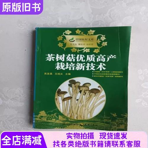 茶树菇如何实现高产栽培？-图1