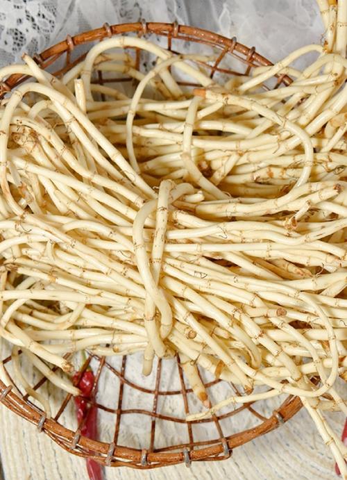 湖北荆州鱼腥草有何独特品种特点？-图1