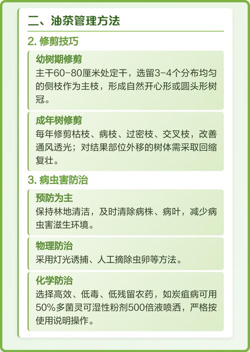 油茶栽培管理有哪些关键技术？-图1