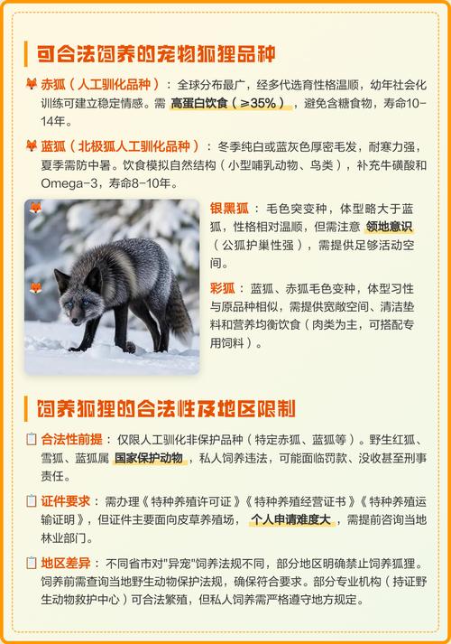 狐狸品种究竟有多少种？-图3