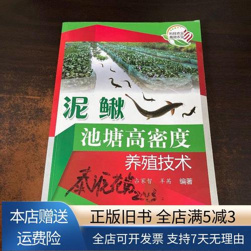 高密度泥鳅的养殖技术-图1