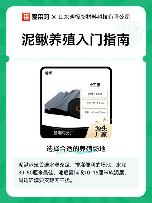 水泥池泥鳅养殖技术要点有哪些？-图3