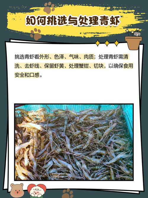 青虾养殖视频养殖技术-图3