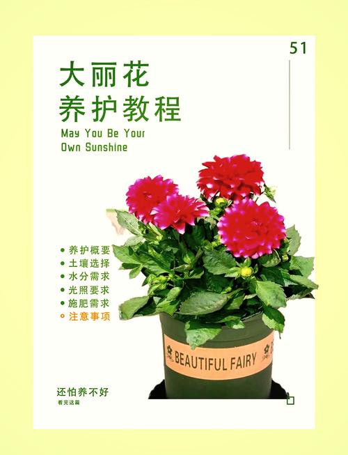 花卉栽培管理技术有哪些关键要点？-图1