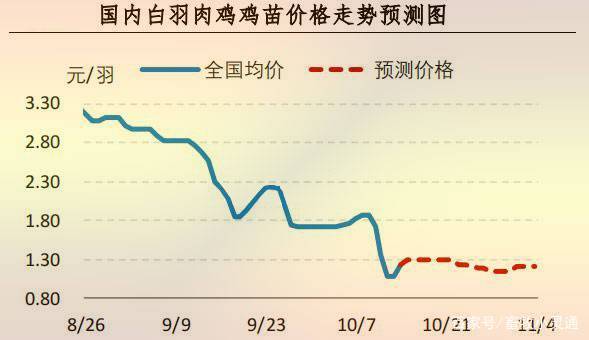 B380肉鸡今日价格行情如何？-图3