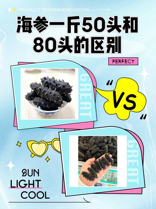 养殖海参价格多少一斤？-图1