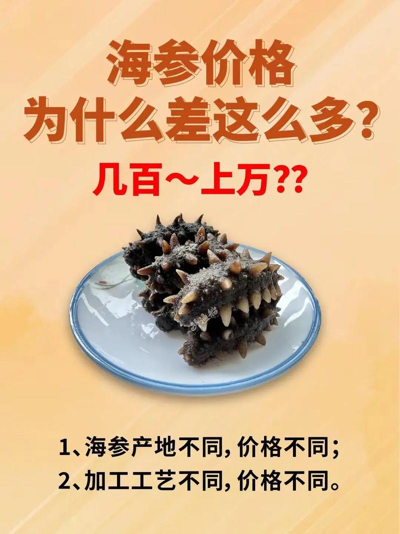 养殖海参价格多少一斤？-图2