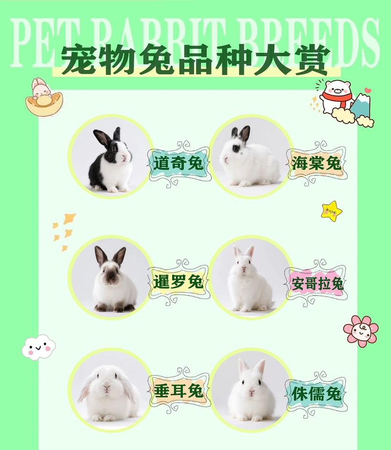 哪些兔子品种最适合养殖？-图1