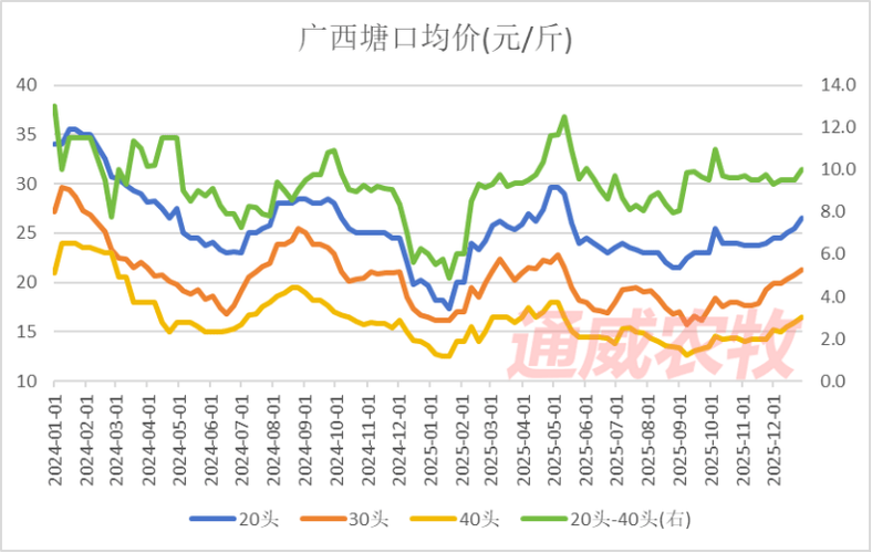今天南美白对虾价格多少？-图3
