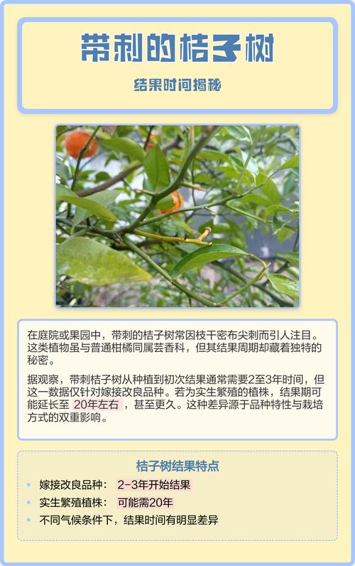 带刺的桔树是什么品种？-图1