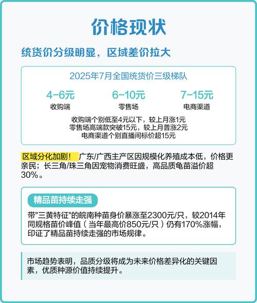 石金钱龟幼苗怎么养才好？-图2