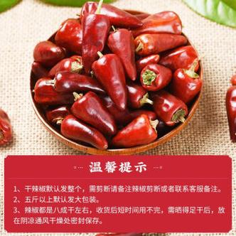 子弹头辣椒有哪些主要品种？-图3