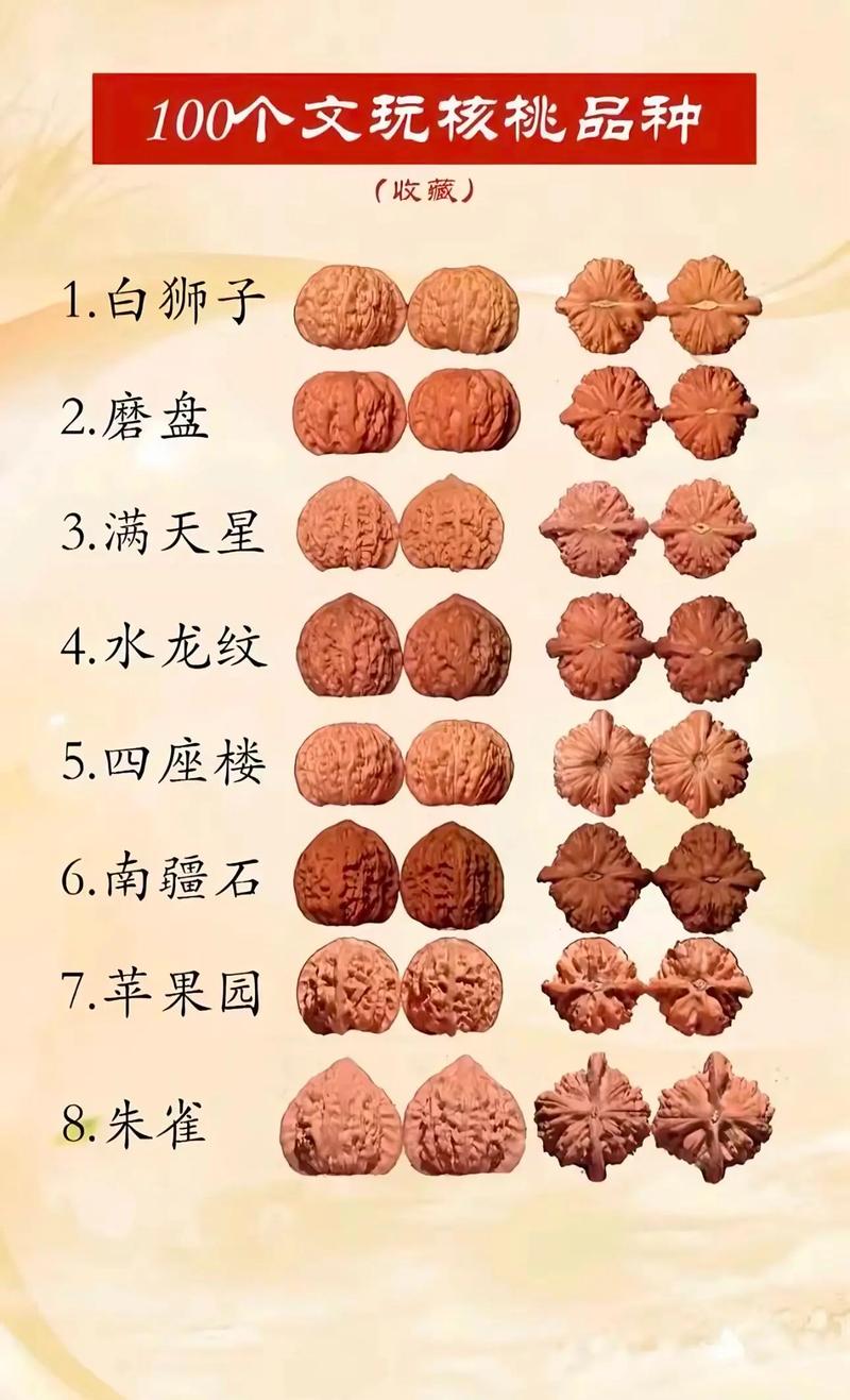核桃哪些品种好？附图片看特征。-图1
