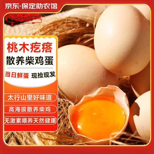 河北柴鸡蛋价格今日价-图3