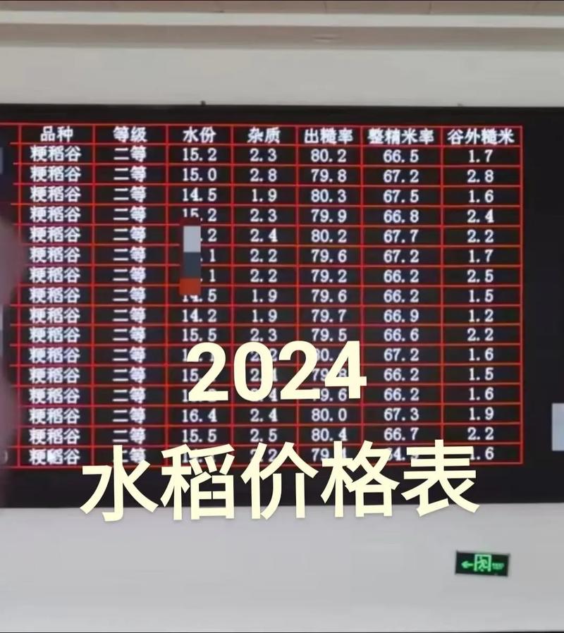 安徽稻谷价格现在怎么样？-图1