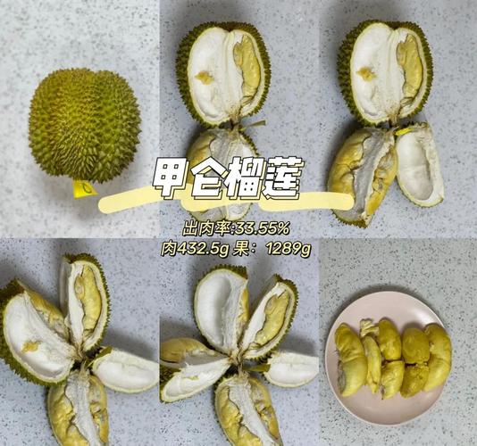 甲抡榴莲是什么品种-图1
