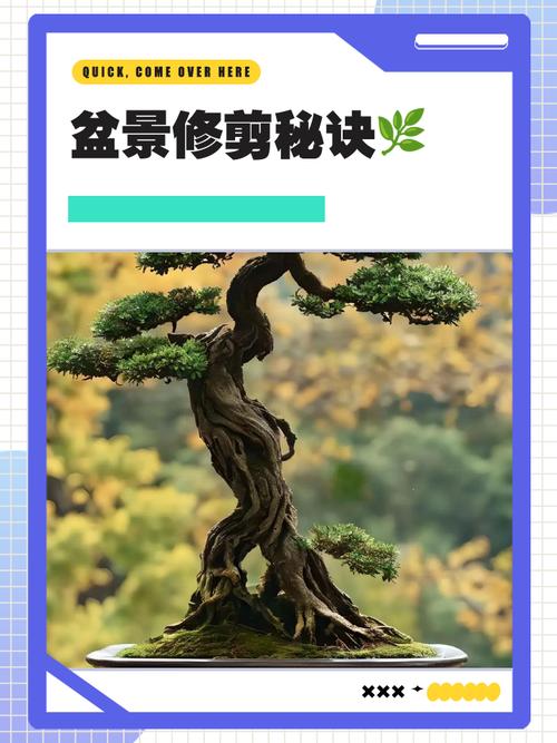 盆景栽培技术视频，新手如何快速入门？-图1