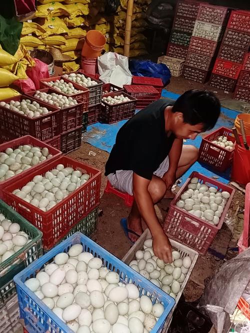 福建鸭蛋价格近期行情如何？-图2