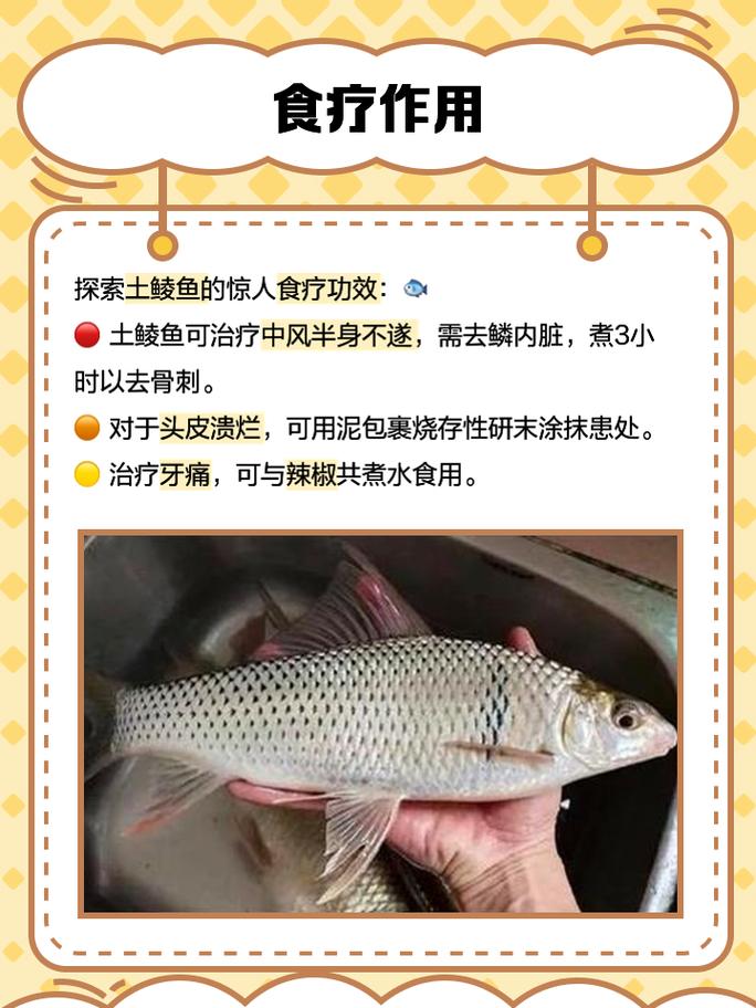 鲮鱼水花最新养殖技术有何要点？-图2