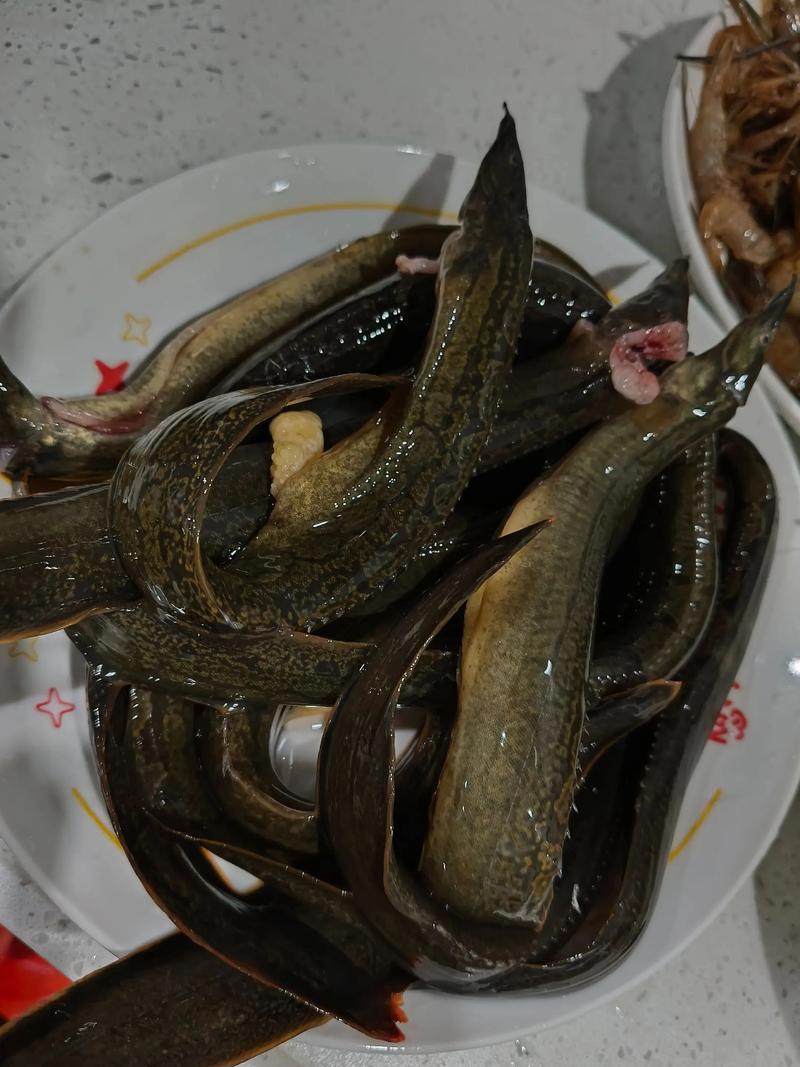 2025重庆泥鳅价格会涨还是跌？-图1