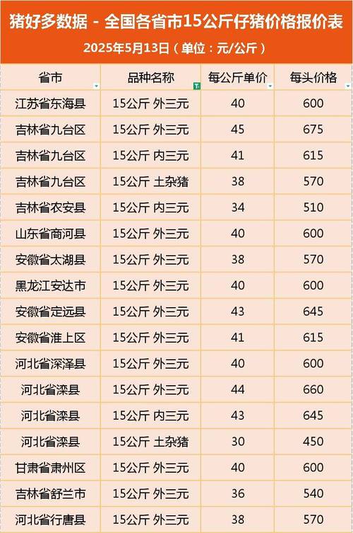 湖南今日仔猪价格多少钱一斤？-图1