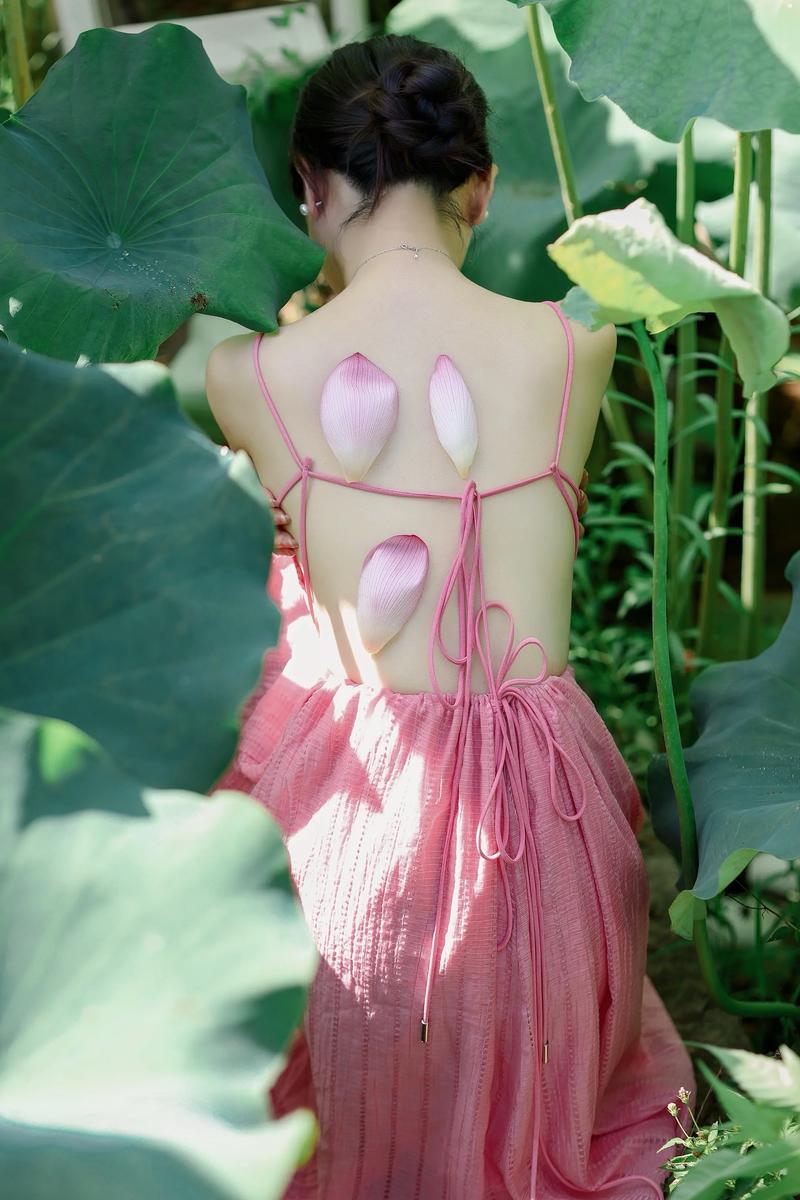 粉红荷花有哪些独特品种？-图2